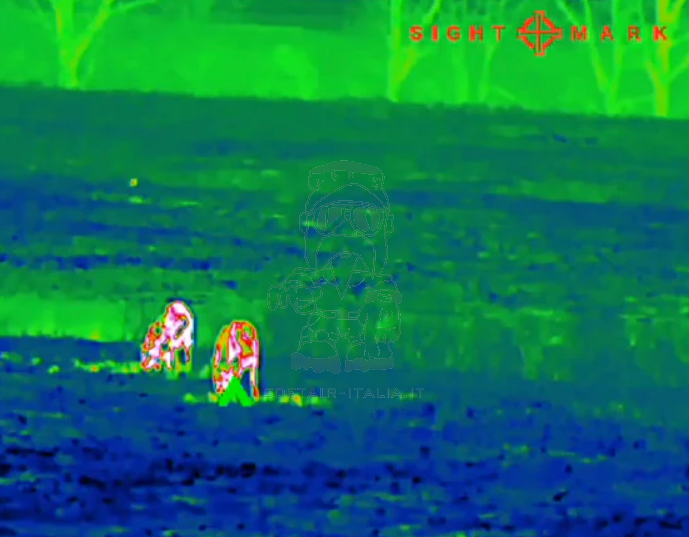 SightMark Thermal Rifle Scope 2-16x35 Wraith Mini 384x288 by Sightmark