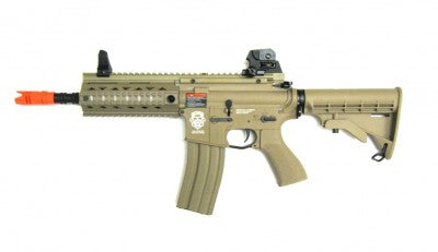 GR4 100Y Scarrellante Tan DST EGR-16P-1YR-DBB-NCM by G&G