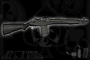 AOS M14 Socom