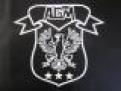 Logo produttore di AGM