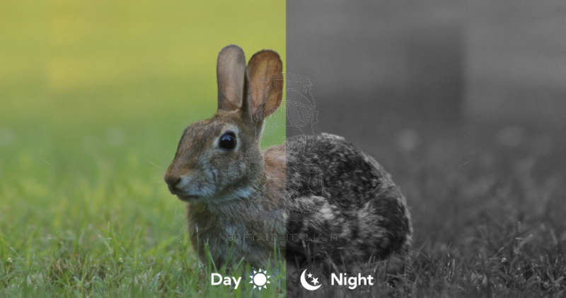 InfiRay TD70L V2 Digital Night Vision Riflescope TUBE NV V2 Series by InfiRay