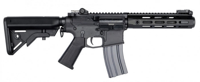 AR MUR Custom SBR Platinum by E&L
