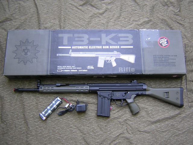 G3A3 Sg1 Type T3-K3 Jing Gong