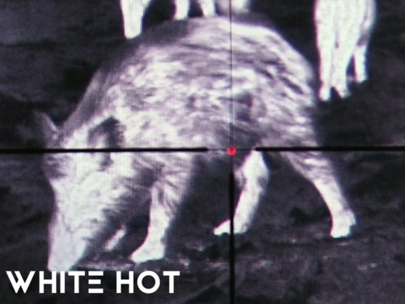 Heimdall Therma Vision Visore Termico Fokus 50 by Heimdall