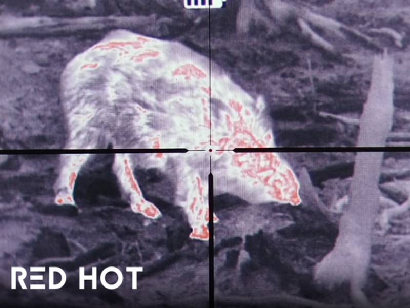 Heimdall Therma Vision Visore Termico Fokus 50 by Heimdall