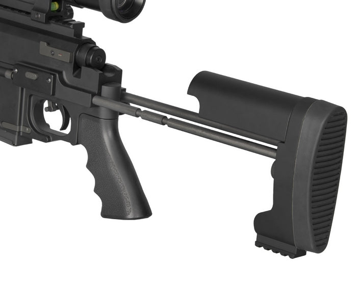 Ares MSR-WR Takedown Spring Sniper Rifle by Ares