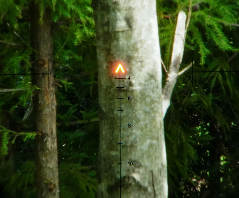 Replica TA31 4x32 RMR & Honeycomb KillFlash Included by Sotac Gear