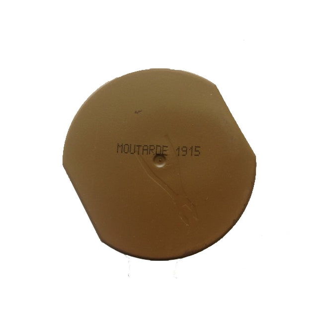 Moutarde - Mostarda 1915 400Ml Spray Paint by Sympa Color